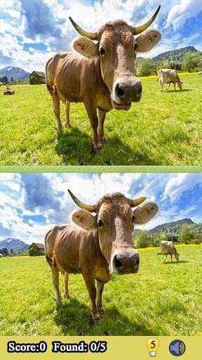 Find The Differences Between 2 Pictures Games screenshot 5