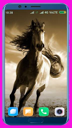 Horse Wallpaper screenshot 13