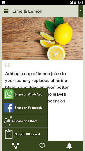 Lime & Lemon Daily screenshot 6