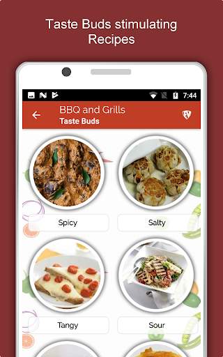 Barbecue Grill Recipes Offline screenshot 12
