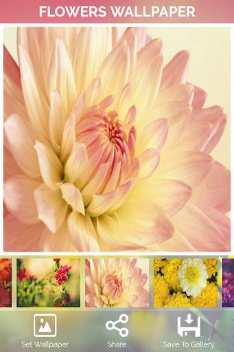Flowers Wallpaper screenshot 6