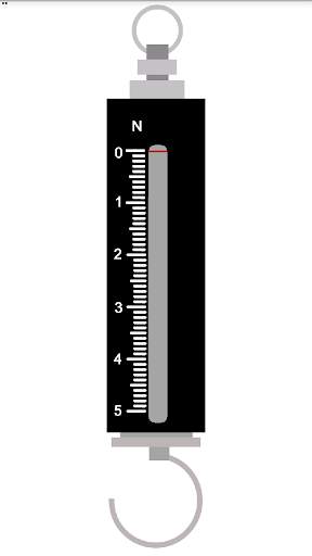 Spring Scale screenshot 7