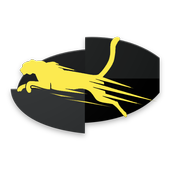Browser icon
