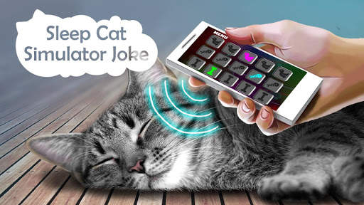 Tidur Cat Simulator Joke screenshot 1