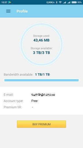 Datafile.com File Manager screenshot 2