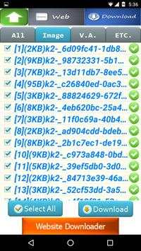 Web Downloader screenshot 4