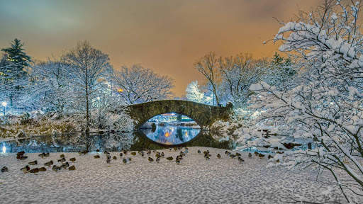 Winter Wallpapers : backgrounds hd screenshot 10