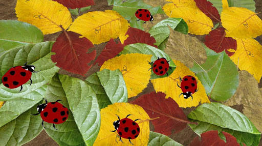 Ladybug simulator - animal game screenshot 5