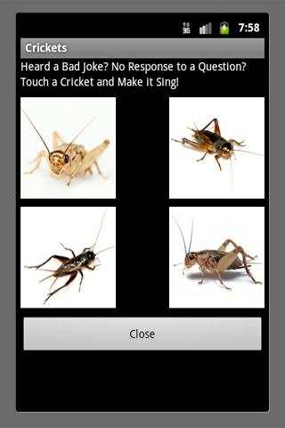 Bad Joke Crickets Sound screenshot 1