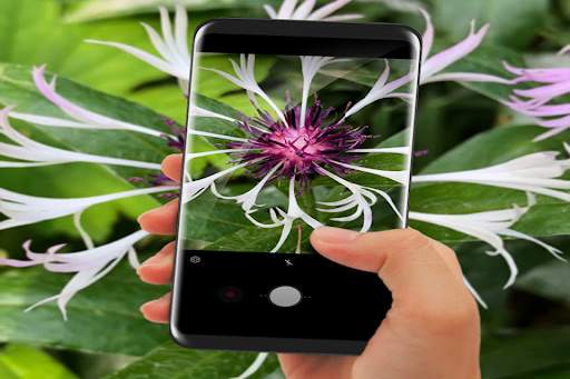 PlantSnap - Plant Identification screenshot 1