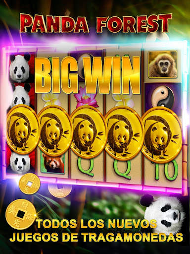 Good Fortune - Máquinas Tragam screenshot 8