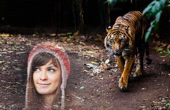 Tiger Photo Frames screenshot 3