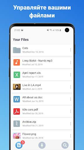 VDP Downloader скриншот 1