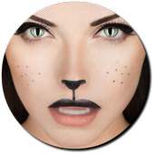 Cat Eye Makeup
