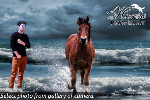 Horse photo Editor screenshot 1