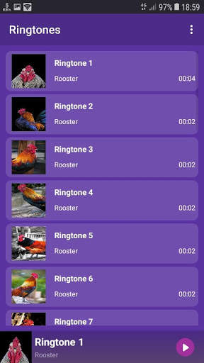 Rooster - RINGTONES and WALLPAPERS screenshot 1