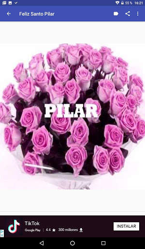 Feliz VIRGEN DEL PILAR 8 تصوير الشاشة