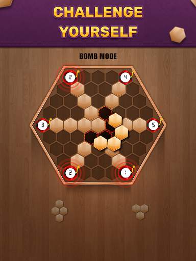 Wooden 100 Block Puzzle - Classic Wood Brain Game screenshot 10