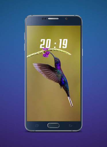 Hummingbird Wallpaper screenshot 4