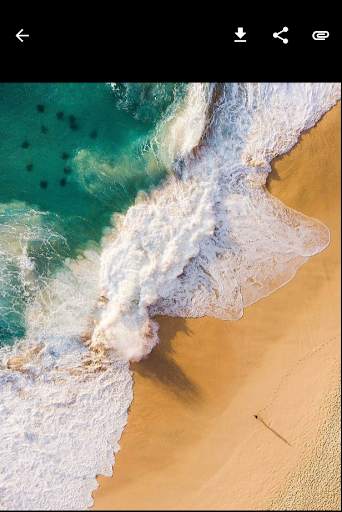 InstaSaver: Photo, Video, Story Save for Instagram screenshot 1