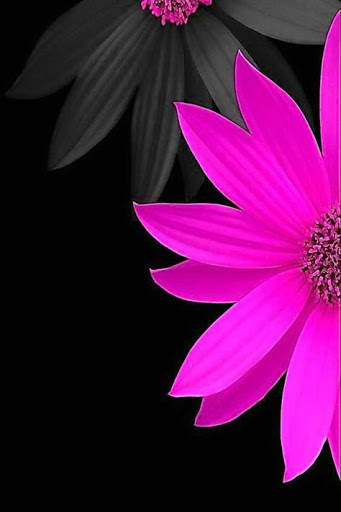I Love Flowers Live Wallpapers, Free Rose Images screenshot 14