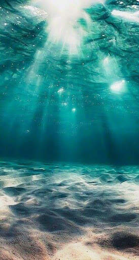 UnderWater Video Live Wallpaper screenshot 4