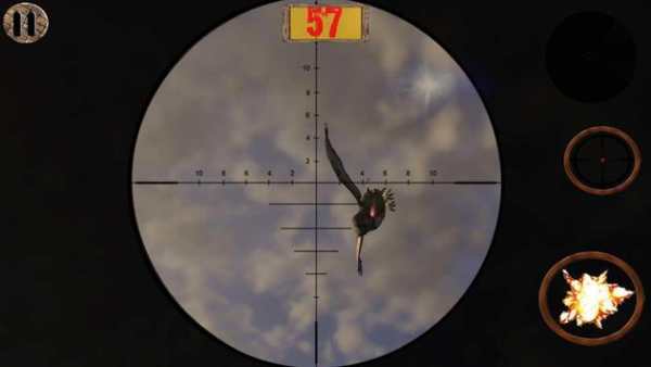 Birds Hunter African Safari screenshot 12