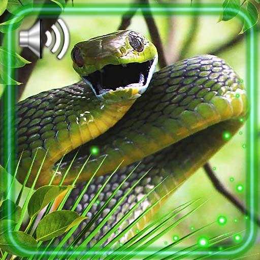 Snakes Best Live Wallpaper 1.2