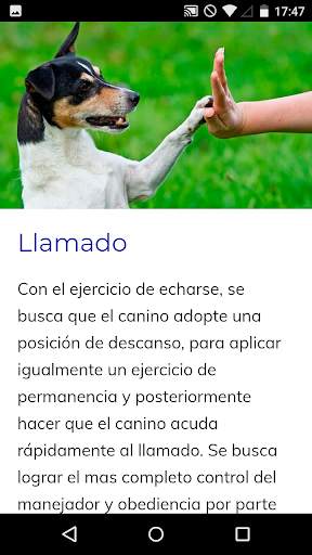 Curso de Adiestramiento Canino screenshot 4