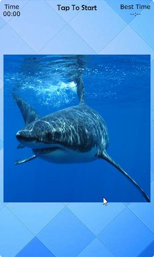 Shark Puzzle screenshot 3