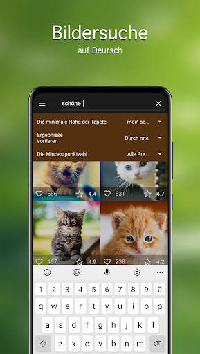 Hintergrundbilder Katzen 4K screenshot 3