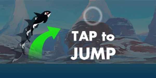 Orca Madness screenshot 3