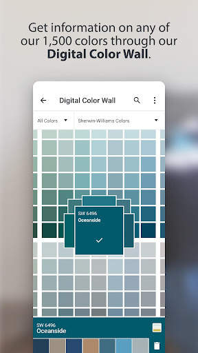 ColorSnap® Visualizer скриншот 3