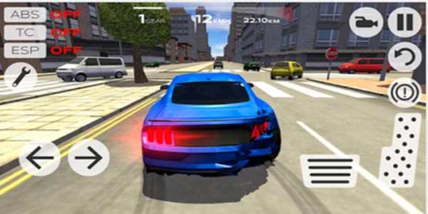 Car Driving Simulator 3D screenshot 1