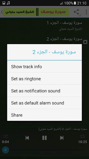 Yusuf Suresi Mjod - Sayın Şeyh Metwally screenshot 3