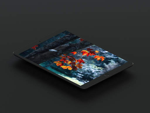Nature Wallpapers For Tablet screenshot 1