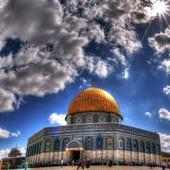 Palestine Wallpapers HD on 9Apps