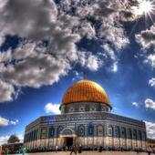 Palestine Wallpapers HD 3.0