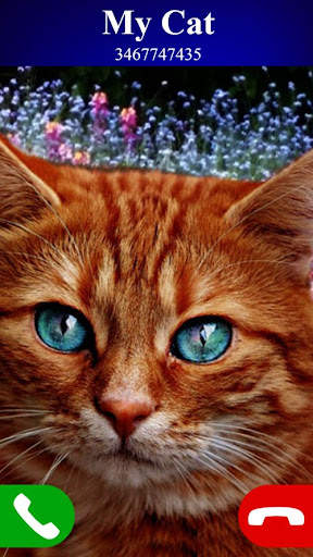 fake call cat game screenshot 2