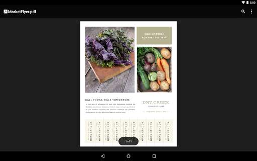 Google PDF Viewer screenshot 8