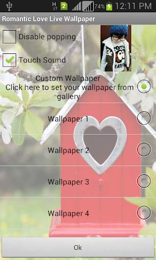 Romantic Love Live Wallpaper screenshot 5