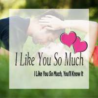 I Like You So Much You'll Know It Songs Lyric logo