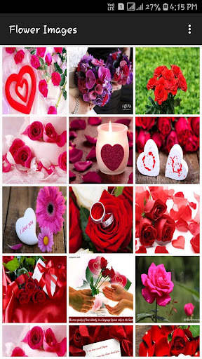 Flower Images screenshot 2