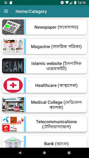 Newspaper & Website screenshot 2