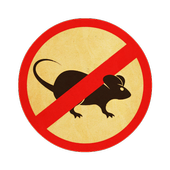 Anti Mouse icon