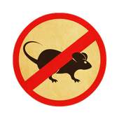 Anti Mouse 1.1
