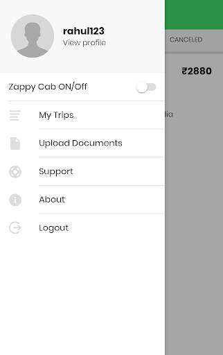 Zappy Cab Driver screenshot 4
