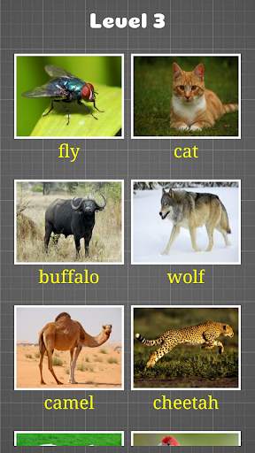 Animal Play скриншот 2