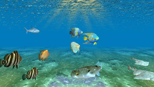 Ocean Fish Under Water Live Wallpaper screenshot 16
