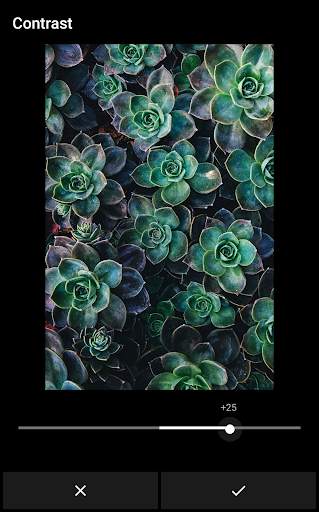 Grafo Photo Studio screenshot 3